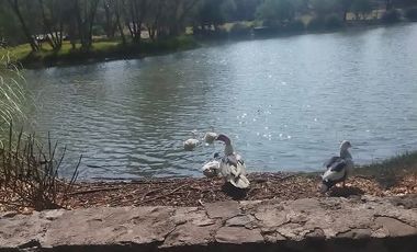 VENTA CASA EL ENCINO HUIMILPAN QUERETARO