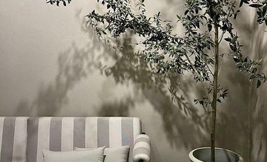 VENTA DEPARTAMENTO AMUEBLADO EN LA COLONIA ROMA NORTE