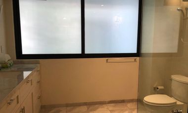 RENTA DEPARTAMENTO EN POLANCO V SECCIÓN