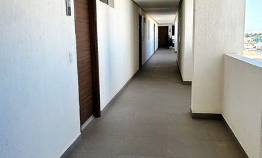 Departamento en Renta 1 Recámara Zona Real Real View