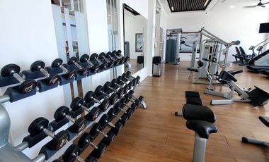 Departamento en Renta 1 Recámara Zona Real Real View