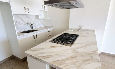 Departamento en Renta 1 Recámara Zona Real Real View