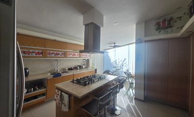 Residencia en el Bosque de San Isidro Cañadas