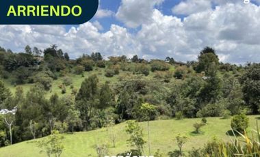 finca en arriendo en el Carmen de Viboral- Samaria