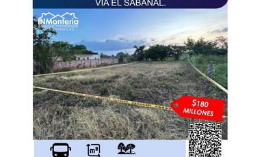 SE VENDEN 2  LOTES  VIA EL SABANAL.