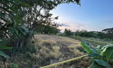 SE VENDEN 2  LOTES  VIA EL SABANAL.