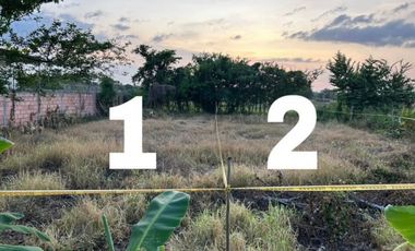 SE VENDEN 2  LOTES  VIA EL SABANAL.