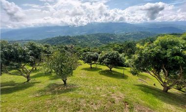 Vendo finca anapoima