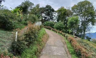 FUSAGASUG FINCA EN VENTA 14750M2