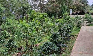 FUSAGASUG FINCA EN VENTA 14750M2