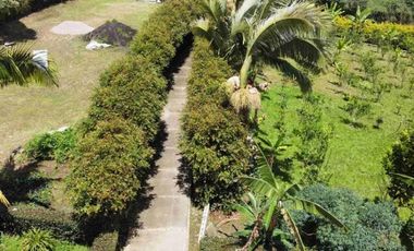 FUSAGASUG FINCA EN VENTA 14750M2