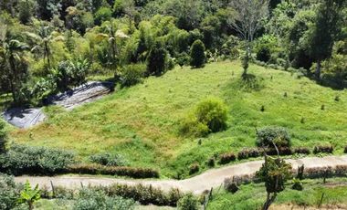 FUSAGASUG FINCA EN VENTA 14750M2