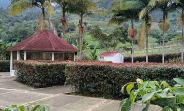 FUSAGASUG FINCA EN VENTA 14750M2