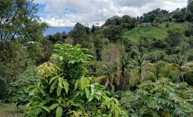 FUSAGASUG FINCA EN VENTA 14750M2