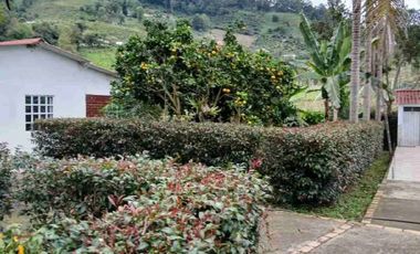 FUSAGASUG FINCA EN VENTA 14750M2