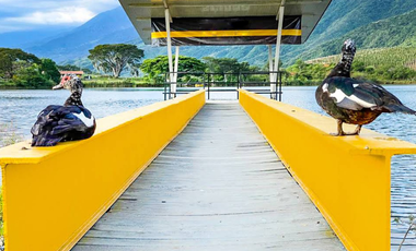 LOTE EN VENTA, LAGOS DE MARACAIBO, PALMIRA