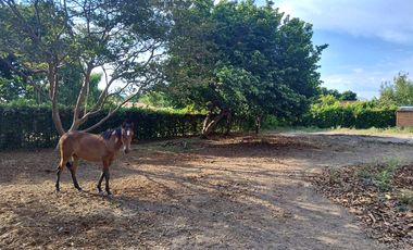LOTE EN VENTA, ROZO, PALMIRA, VALLE DEL CAUCA