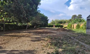 LOTE EN VENTA, ROZO, PALMIRA, VALLE DEL CAUCA