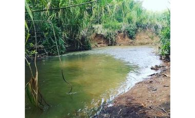 VENTA DE FINCA VA GUACHINTE RIO CLARO JAMUND VALLE