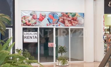 LOCALES EN RENTA | PALMAS PLAZA BUSINESS STYLE CENTER – ANGELÓPOLIS