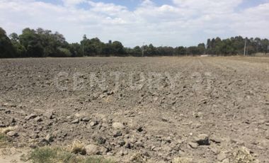 VENTA TERRENO RUSTICO, SAN MIGUEL XOXTLA ATRAS DE TERNIUM