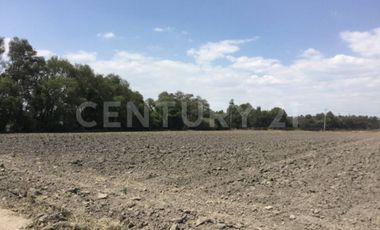 VENTA DE TERRENO, EN SAN MIGUEL XOXTLA ATRAS DE TERNIUM