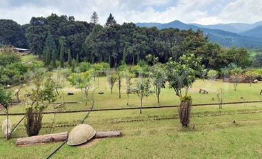 SANTA MARIA MAZATLA, CASA EN VENTA 10393 RCV