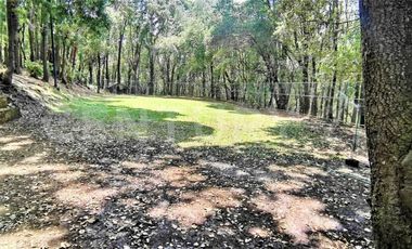 SANTA MARIA MAZATLA, CASA EN VENTA 10393 RCV