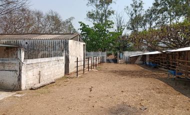 CASA DE CAMPO, RANCHO PRODUCTIVO, VENTA, YECAPIXTLA, MORELOS