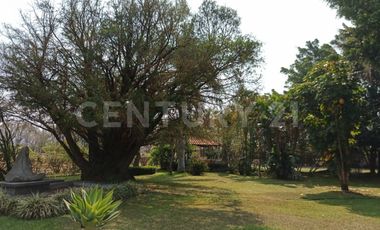 CASA DE CAMPO, RANCHO PRODUCTIVO, VENTA, YECAPIXTLA, MORELOS