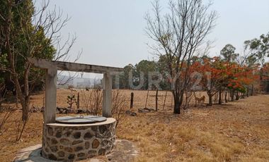 CASA DE CAMPO, RANCHO PRODUCTIVO, VENTA, YECAPIXTLA, MORELOS