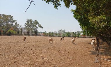 CASA DE CAMPO, RANCHO PRODUCTIVO, VENTA, YECAPIXTLA, MORELOS