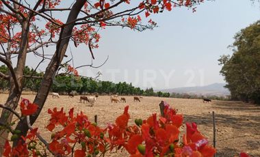 CASA DE CAMPO, RANCHO PRODUCTIVO, VENTA, YECAPIXTLA, MORELOS