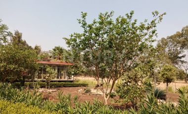 CASA DE CAMPO, RANCHO PRODUCTIVO, VENTA, YECAPIXTLA, MORELOS