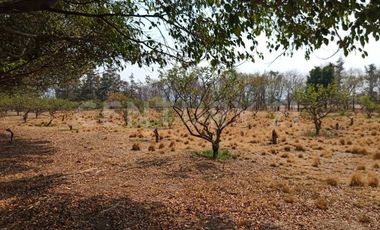 CASA DE CAMPO, RANCHO PRODUCTIVO, VENTA, YECAPIXTLA, MORELOS