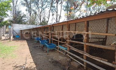 CASA DE CAMPO, RANCHO PRODUCTIVO, VENTA, YECAPIXTLA, MORELOS