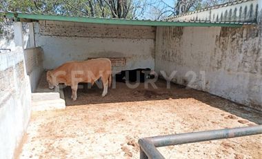 CASA DE CAMPO, RANCHO PRODUCTIVO, VENTA, YECAPIXTLA, MORELOS
