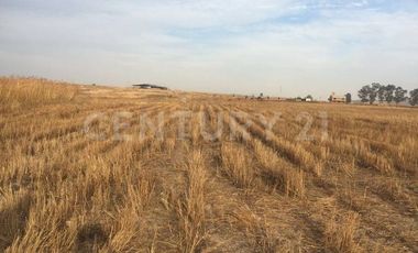 Terreno En Venta En Acatic, Jalisco.