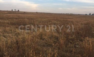 Terreno En Venta En Acatic, Jalisco.