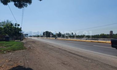 Terreno en Venta sobre autopista Tecomán - Armeria, Colima