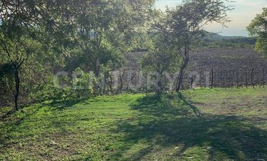 HABITACIONAL RENTA PREDIO RÚSTICO XACAMIXTLACO HIGUERÓN JOJUTLA, MORELOS