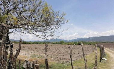 HABITACIONAL RENTA PREDIO RÚSTICO XACAMIXTLACO HIGUERÓN JOJUTLA, MORELOS