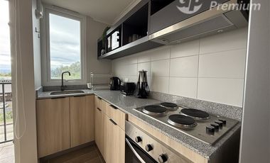 Departamento en Arriendo en Salida desde Villarrica a Pucón