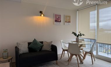 Departamento en Arriendo en Salida desde Villarrica a Pucón