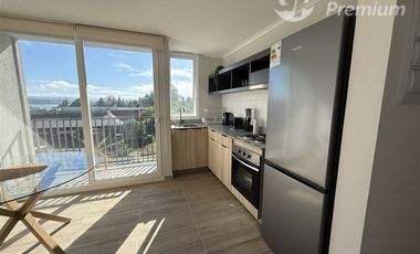 Departamento en Arriendo en Salida desde Villarrica a Pucón