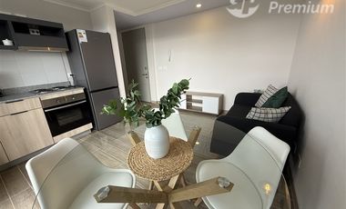 Departamento en Arriendo en Salida desde Villarrica a Pucón