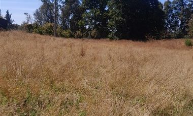 Parcela en Venta en camino o calle real sector Rio Frio