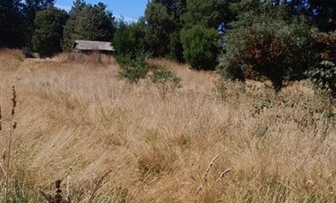 Parcela en Venta en camino o calle real sector Rio Frio