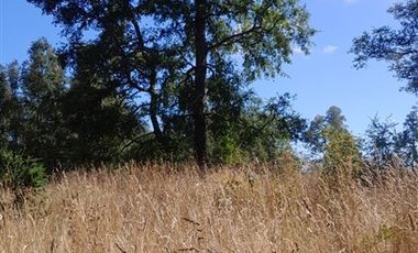 Parcela en Venta en camino o calle real sector Rio Frio