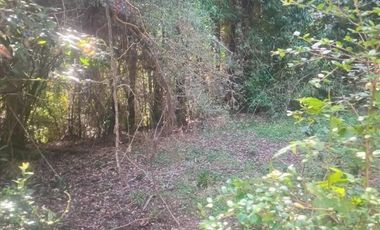 Parcela en Venta en camino o calle real sector Rio Frio